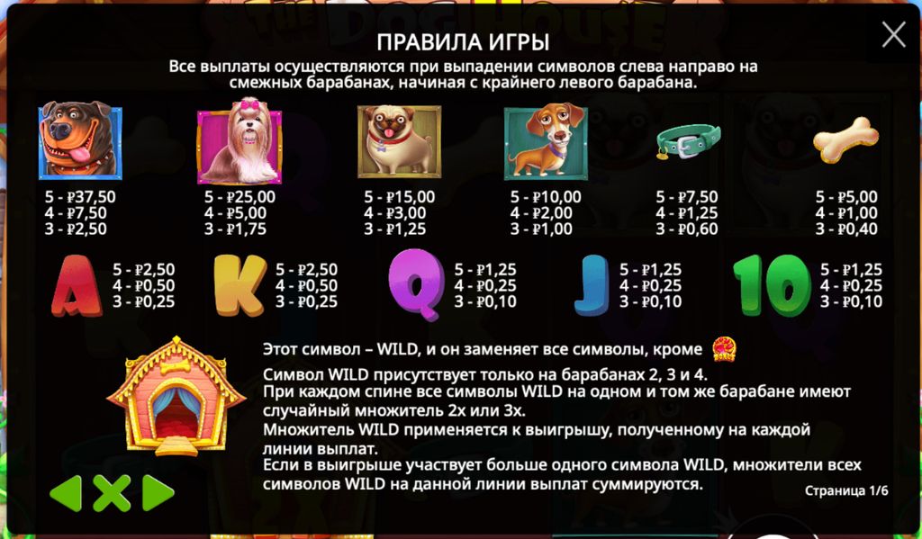 Таблица выплат символов из правил игры