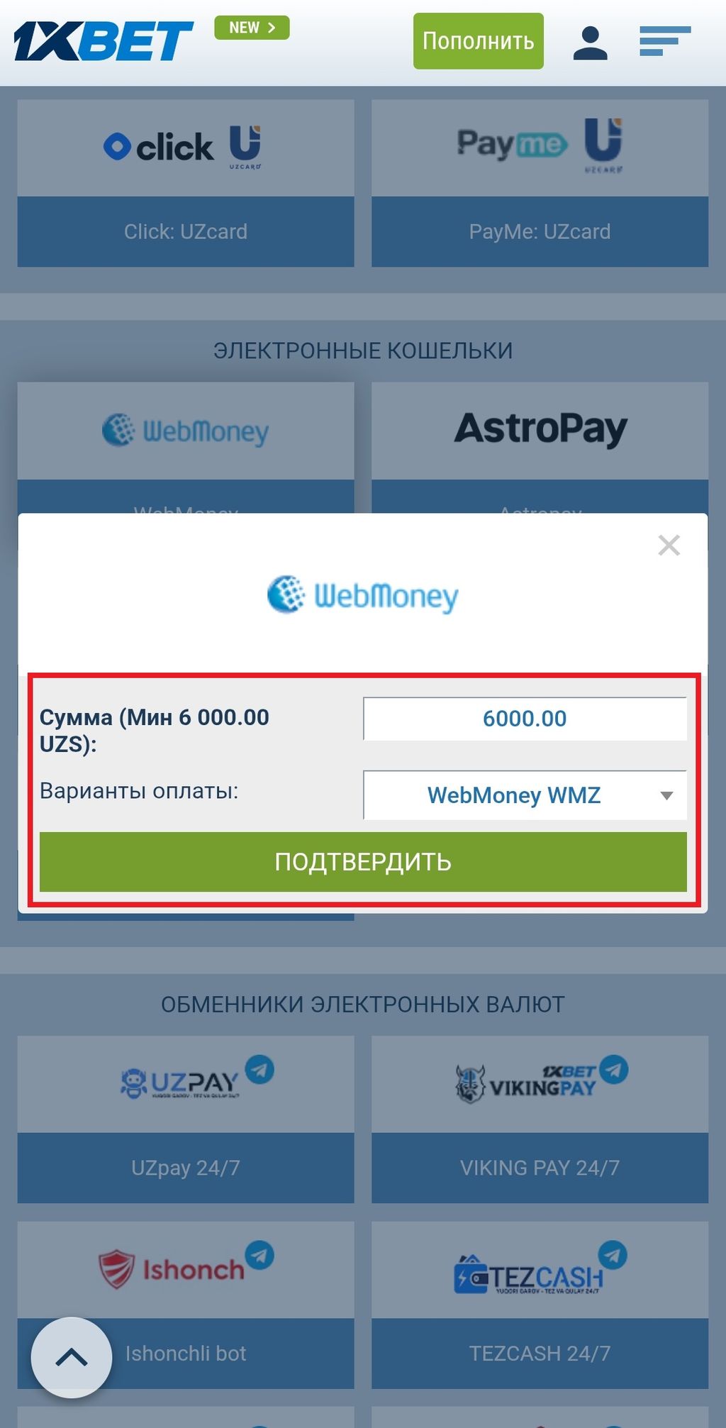 Игрок указал минимальную сумму – 6000 UZS, выбрал кошелек WMZ