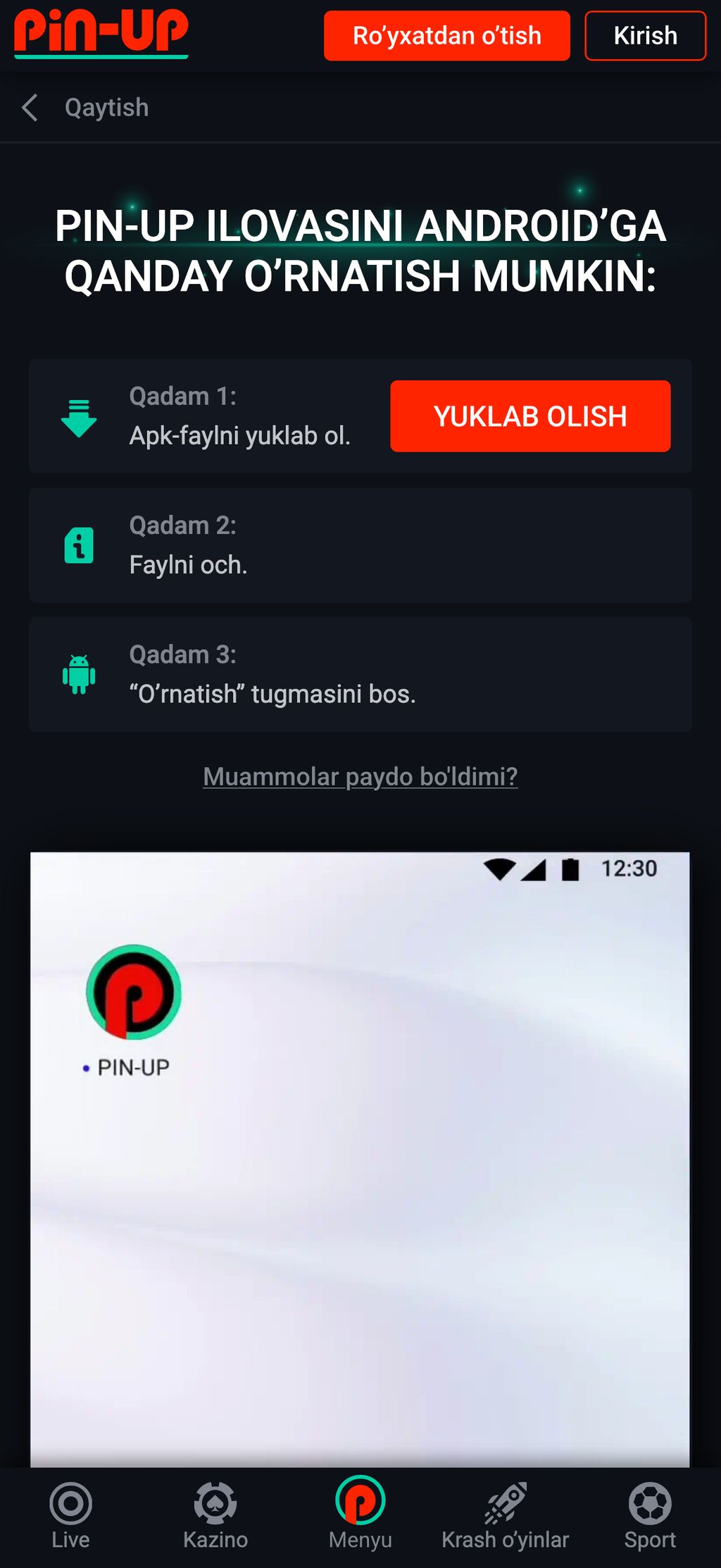 Страница загрузки Pin-Up APK для Android на официальном сайте