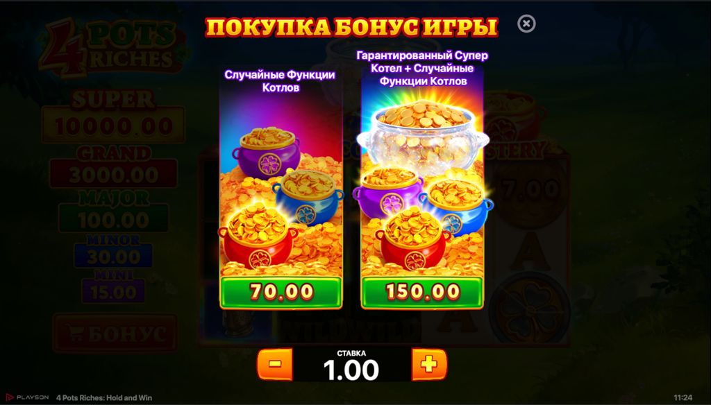 Окно покупки бонусной игры с выбором вариантов активации функций. 