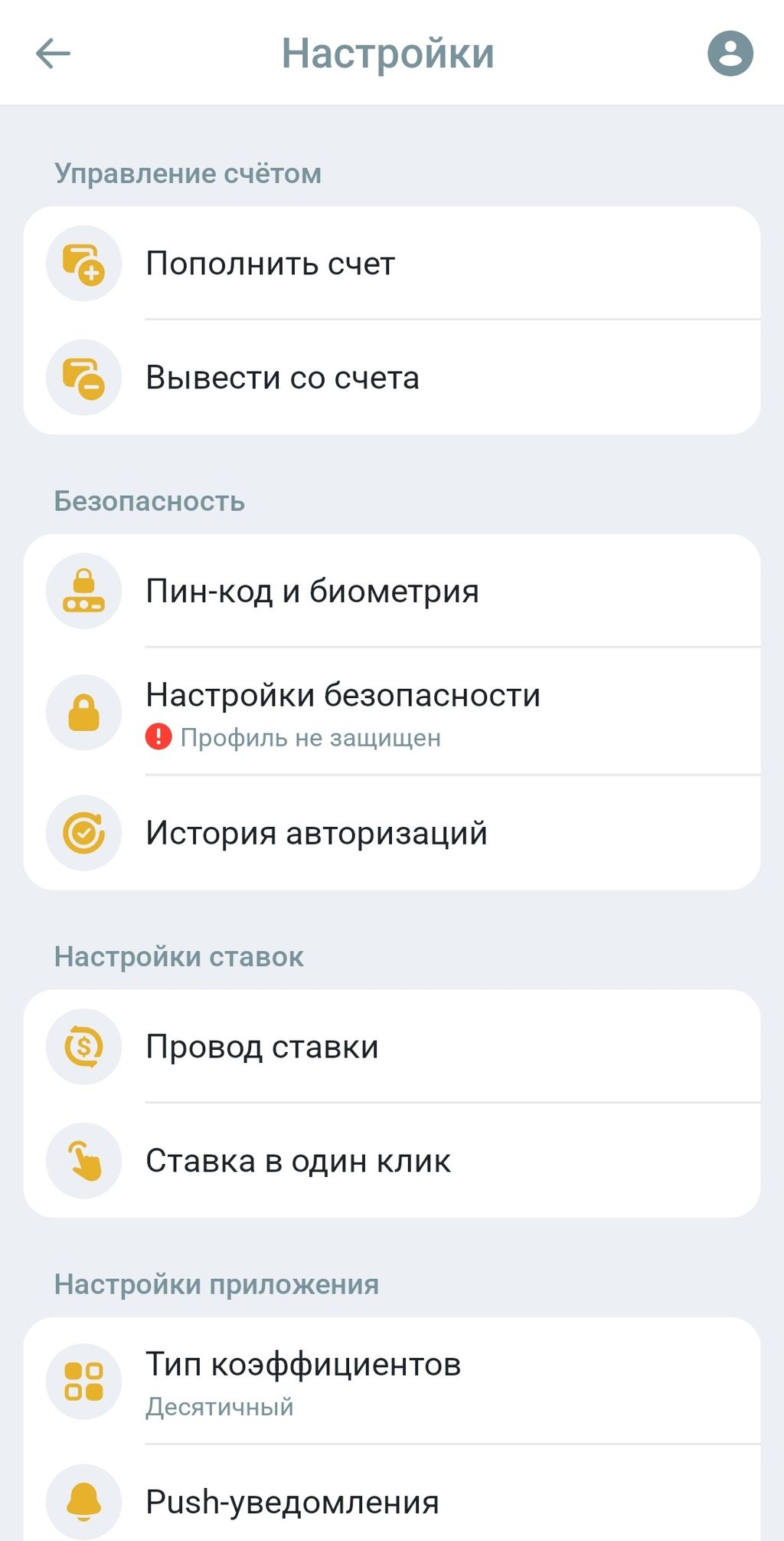 Раздел «Настройки» в приложении
